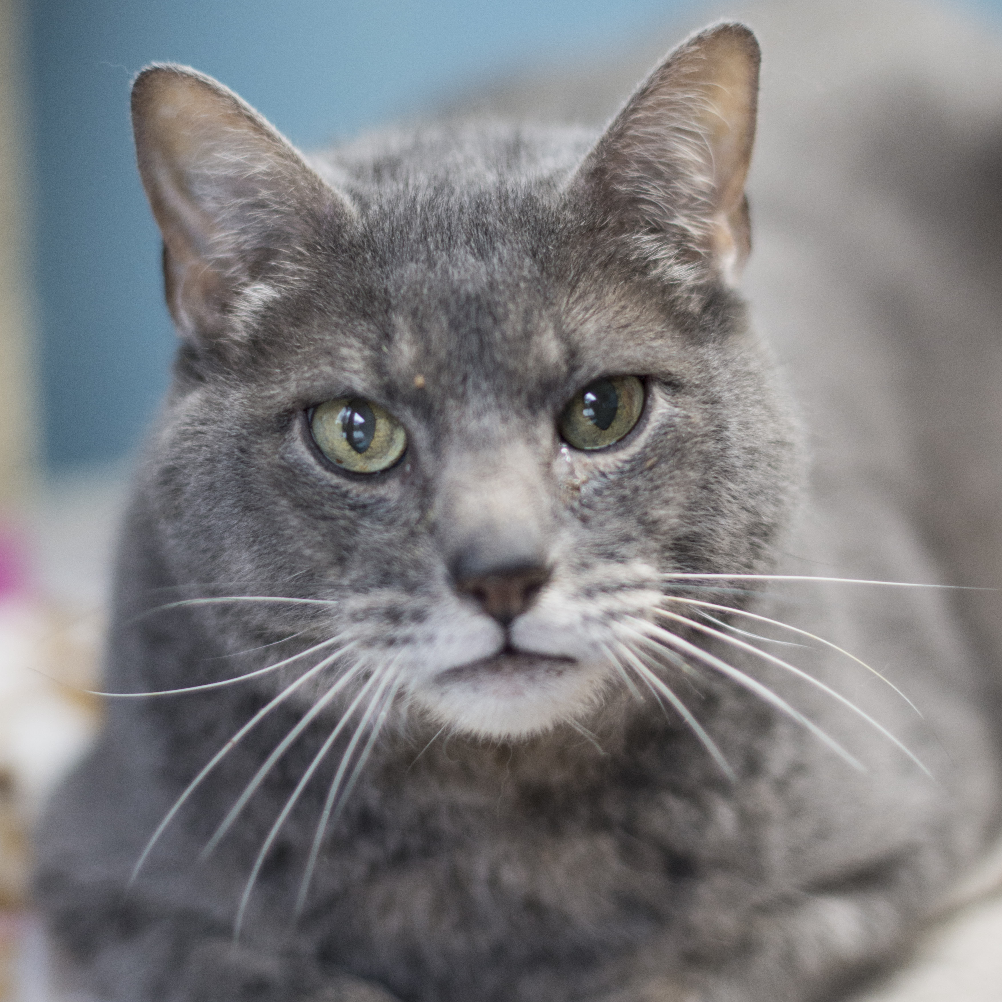 Jack Furrier Near Me – A Comprehensive Guide