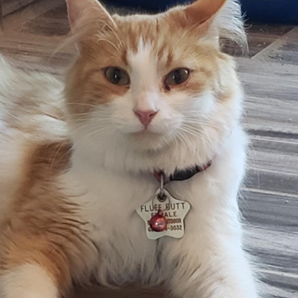 20211105124850 Furry Friends Refuge