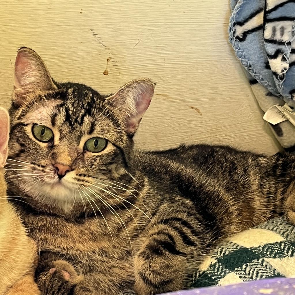 20211129105614 Furry Friends Refuge