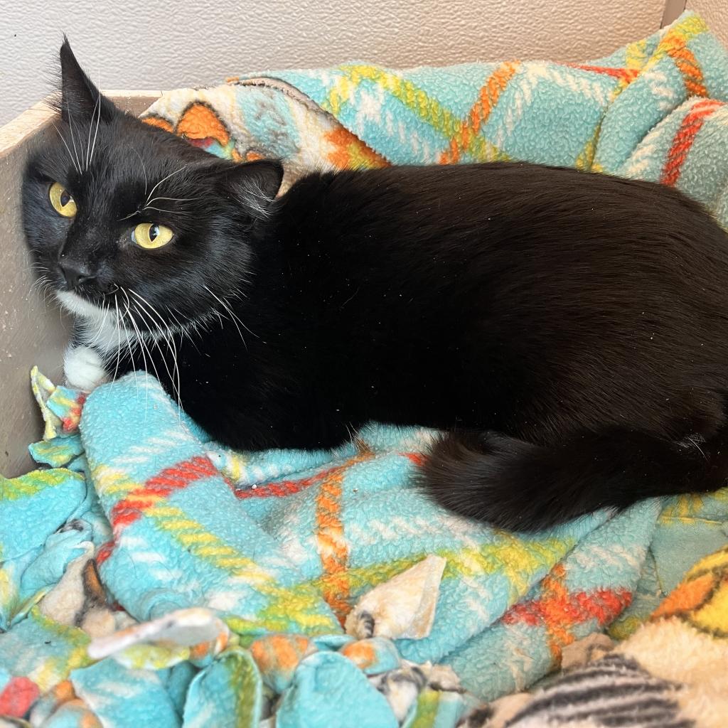 20211230124740 Furry Friends Refuge