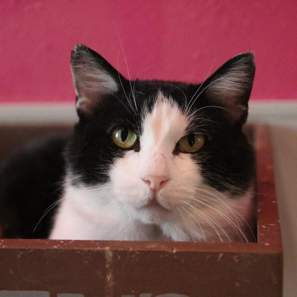 20220405205714 Furry Friends Refuge