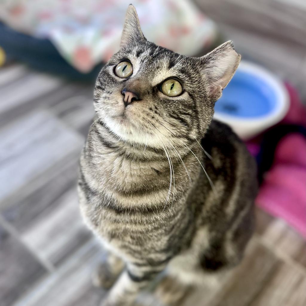 20230527100450 Furry Friends Refuge